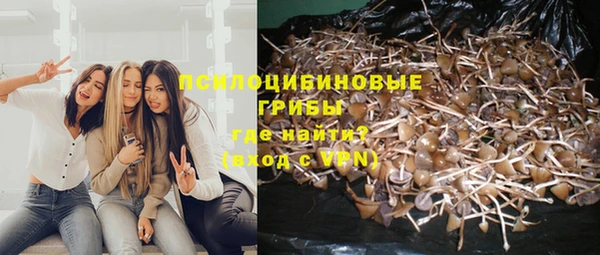 каннабис Аркадак
