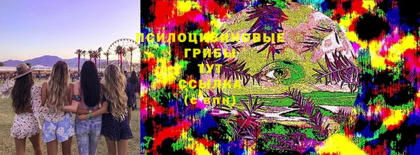 каннабис Аркадак
