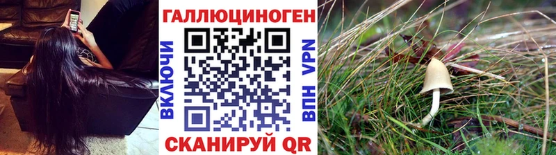 Галлюциногенные грибы GOLDEN TEACHER  Шумиха 