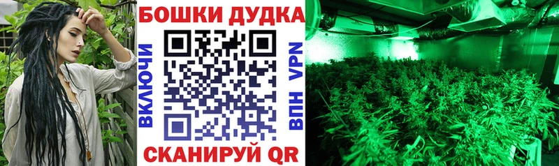 Конопля семена  Шумиха 